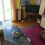 Dino
